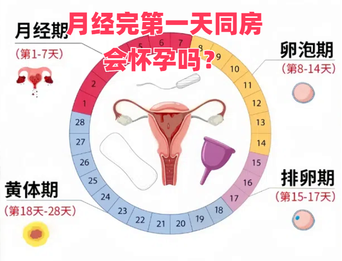 月经完第二天同房怀孕