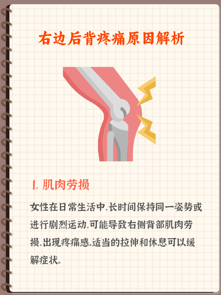 引起背疼的原因