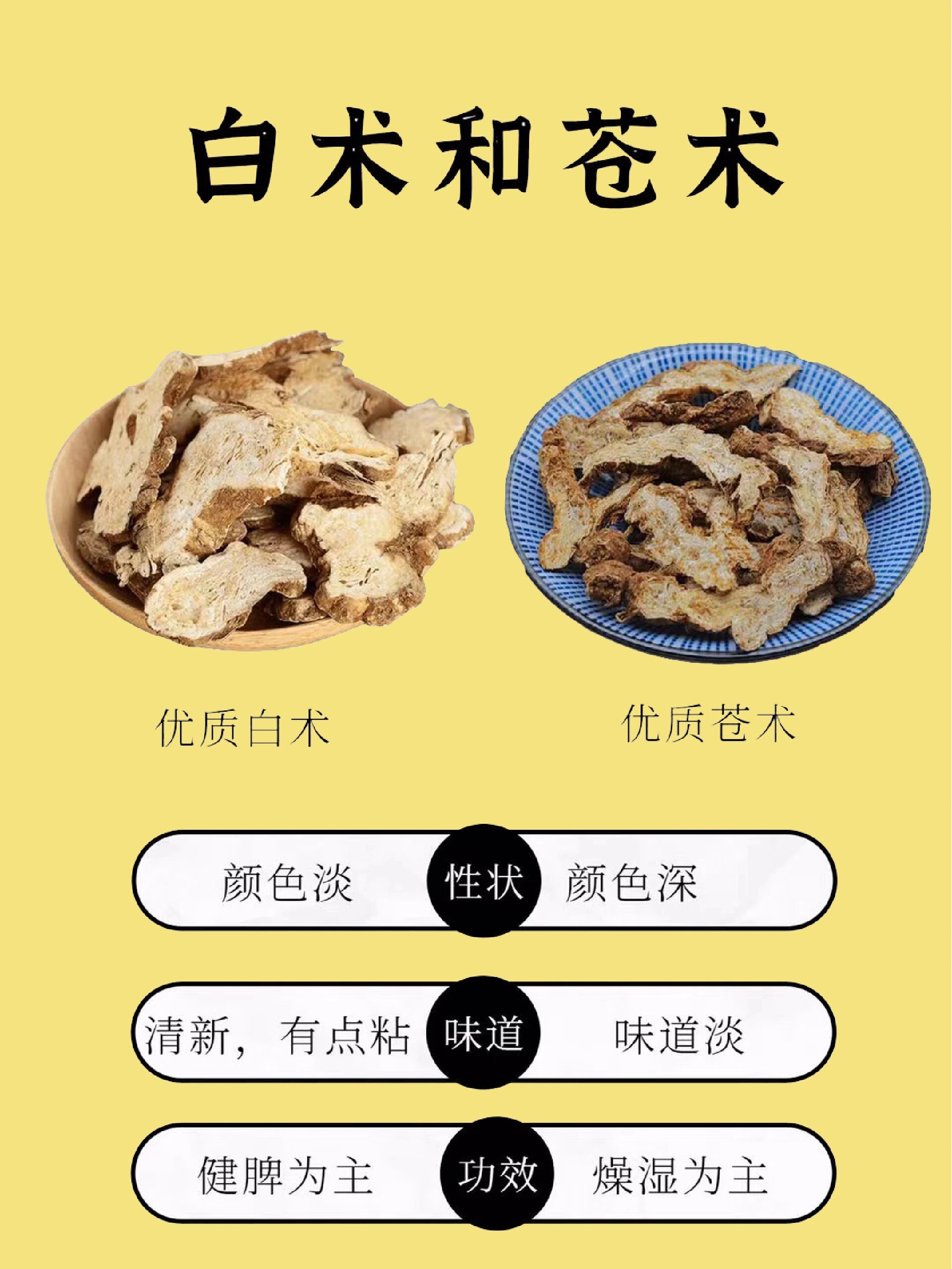 白术的作用与功效