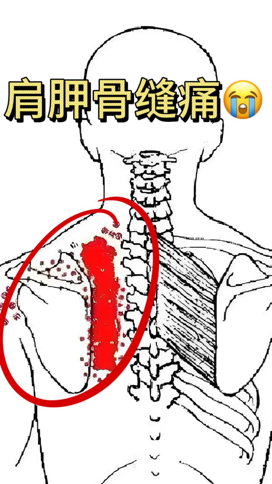 耿姗 第3页