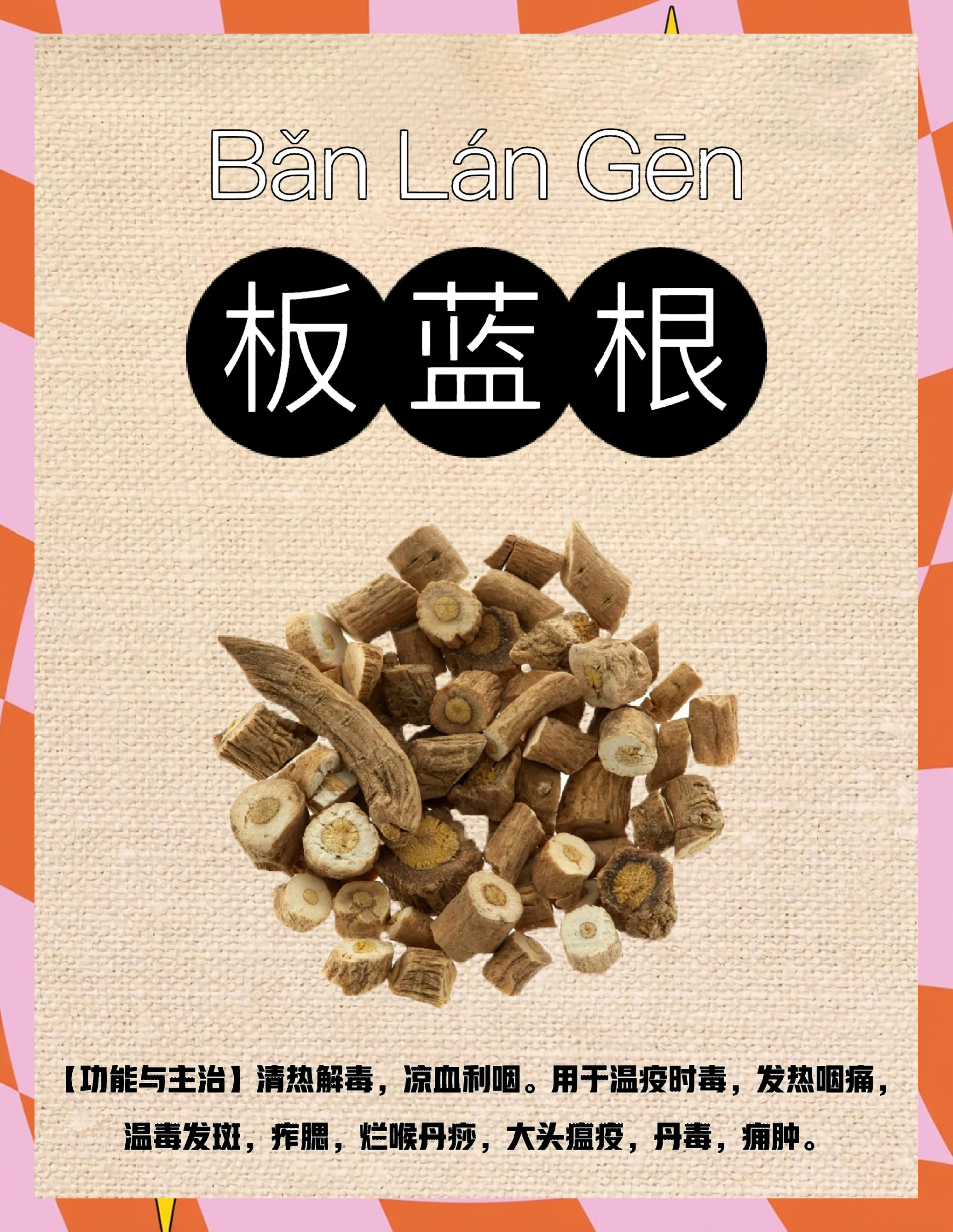 孕妇能喝板蓝根吗