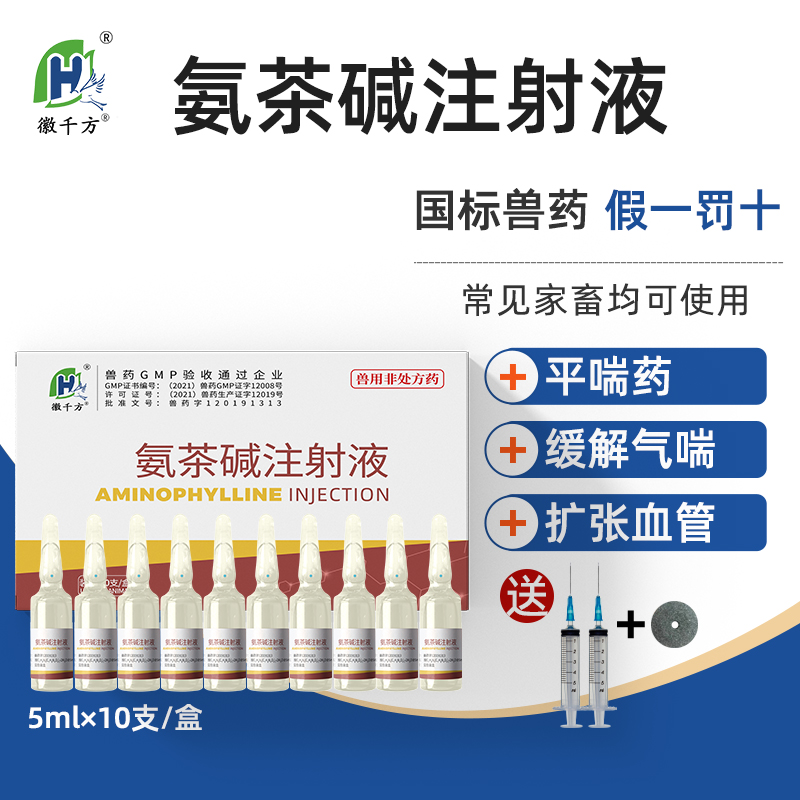 氨茶碱注射液说明书