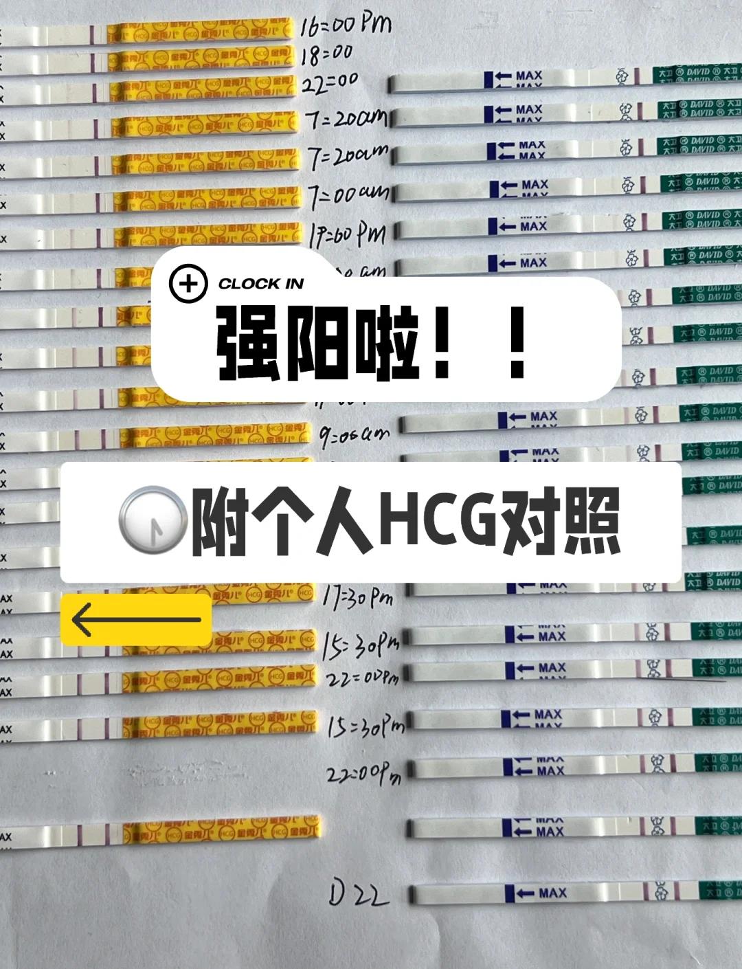 hcg正常值是多少