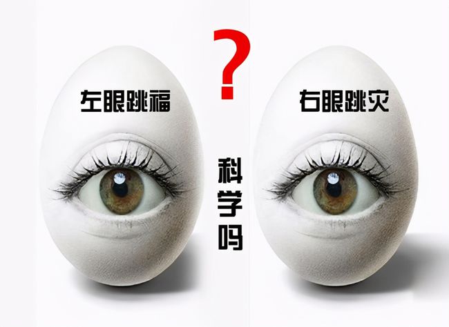 左眼皮一直跳是怎么回事