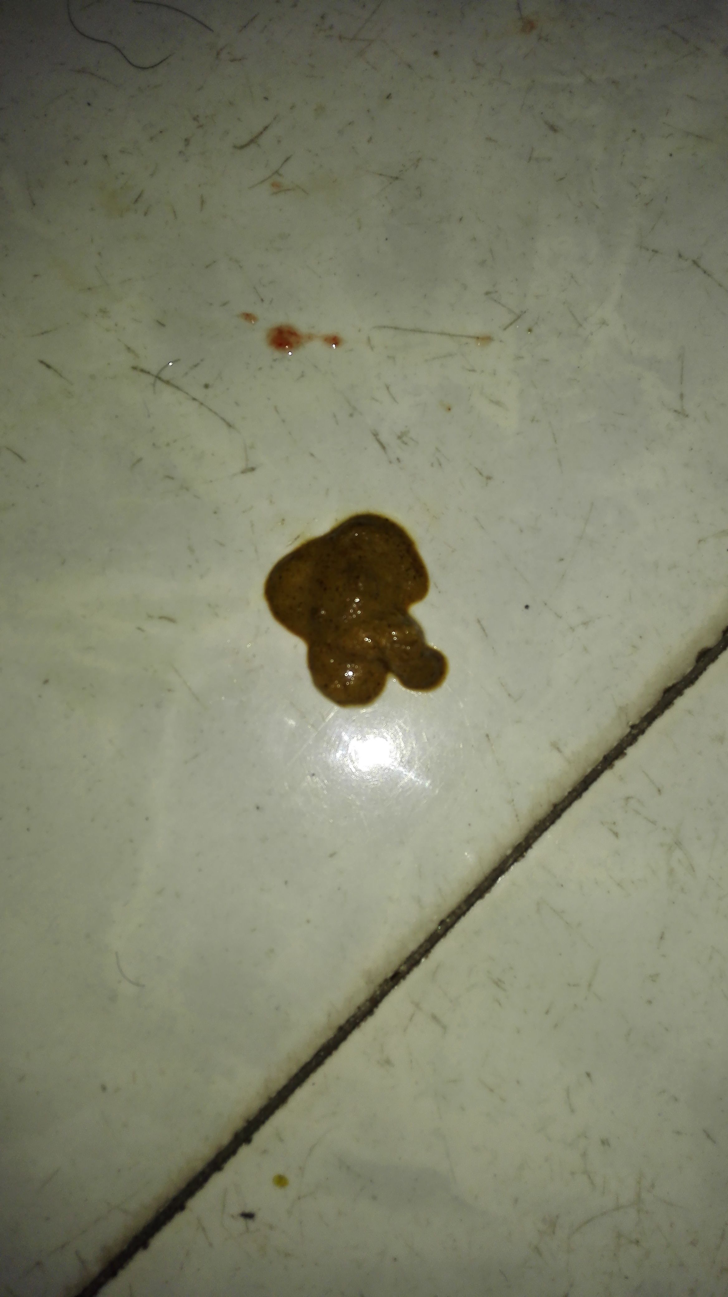关濮存 第3页