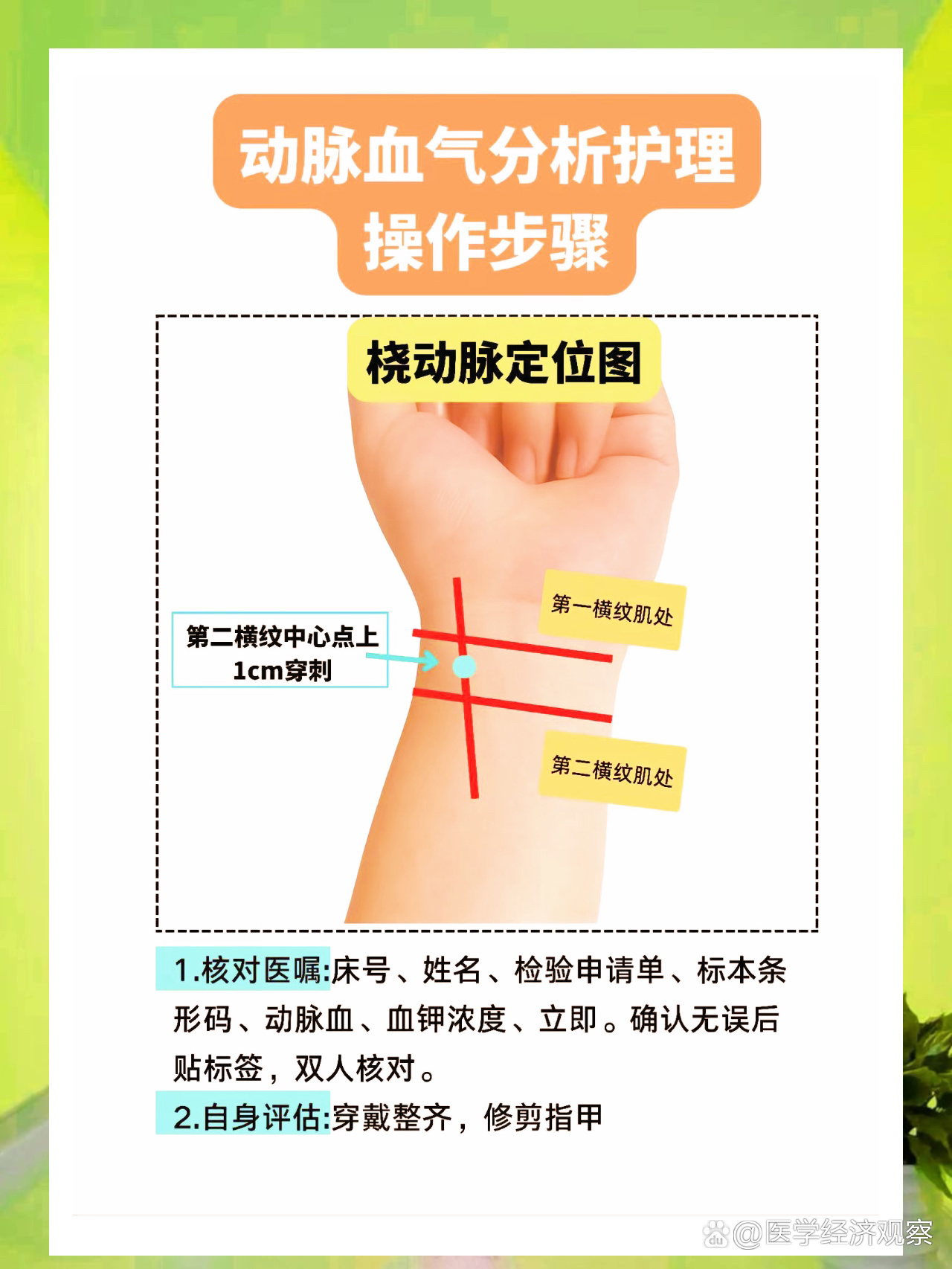 想知道手腕上动脉在哪儿