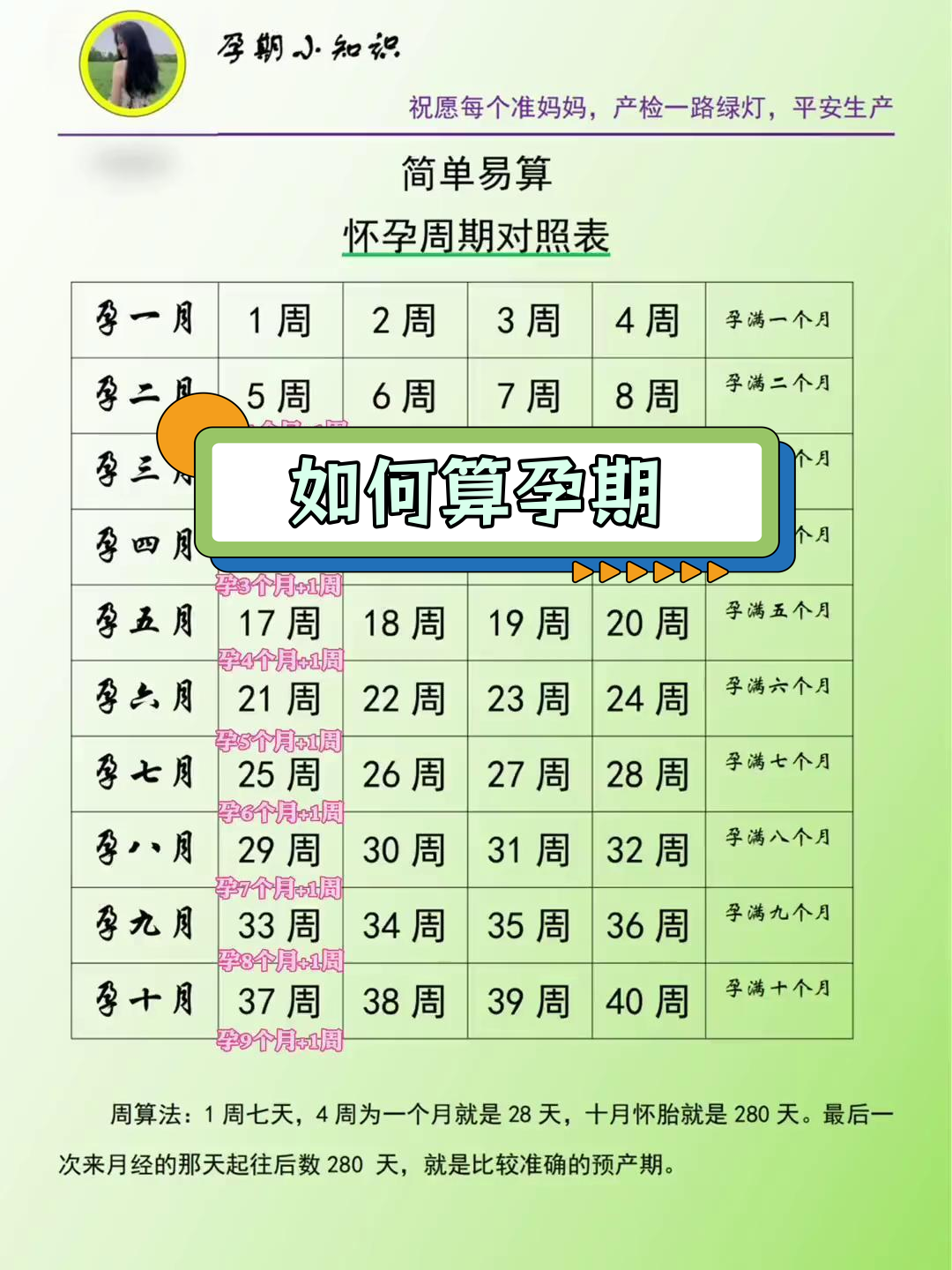 拓跋妮娜 第2页