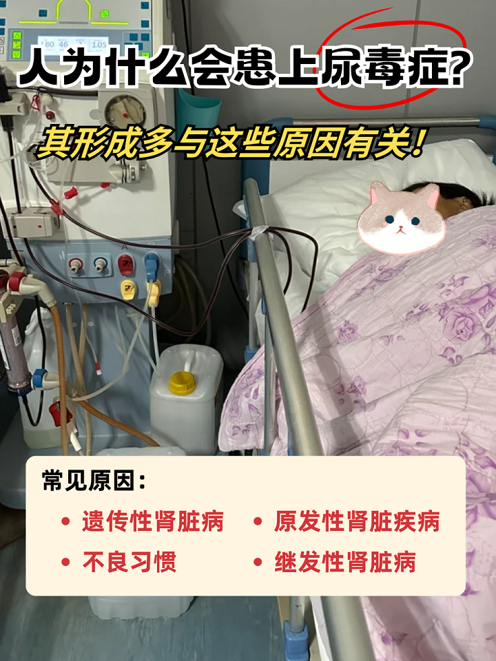 肾衰竭如何引起的