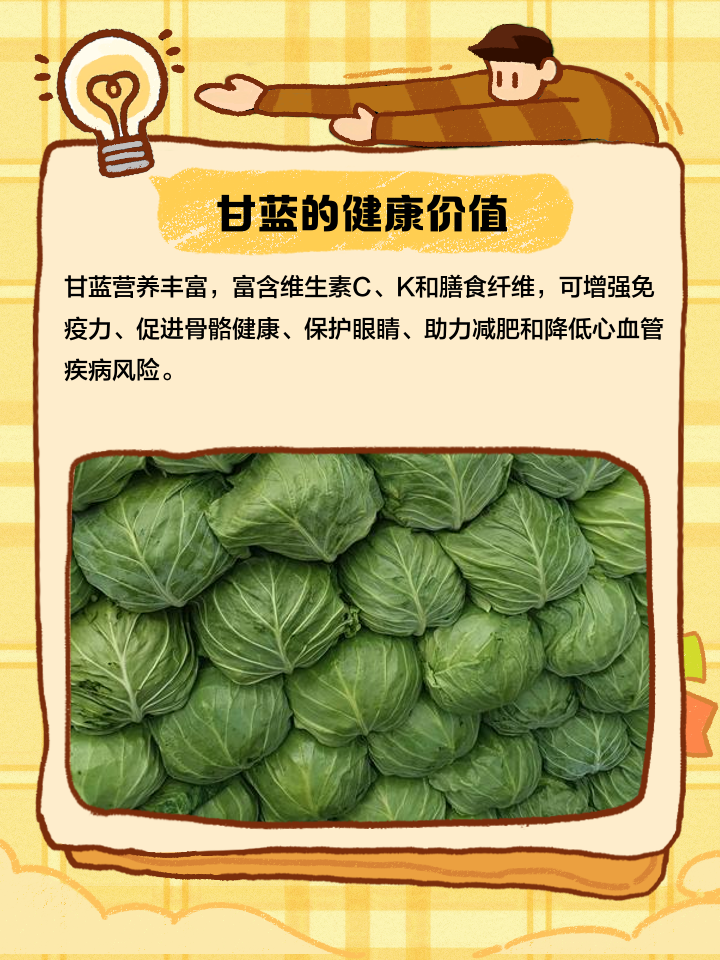 甘蓝的营养价值及功效