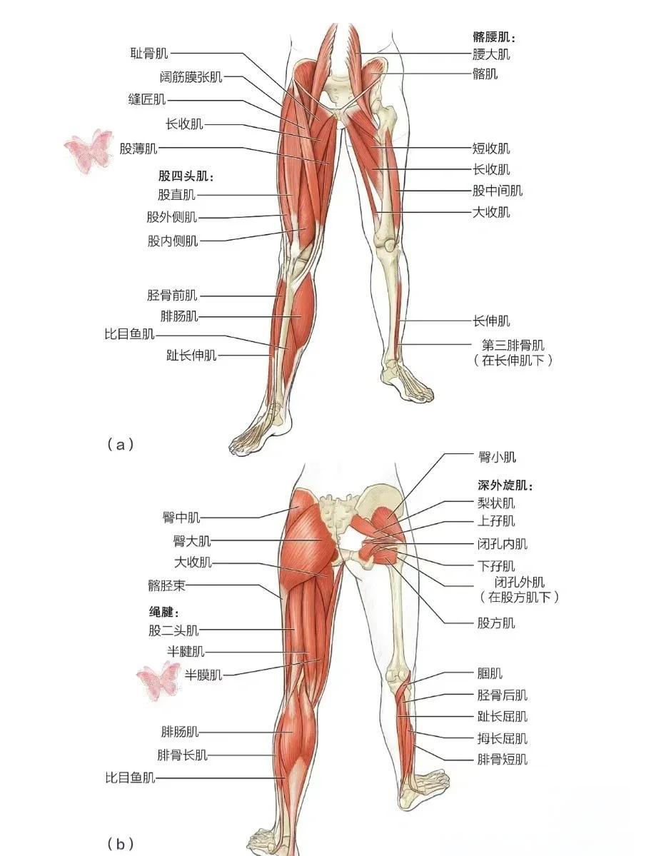 肌肉拉伤是什么感觉