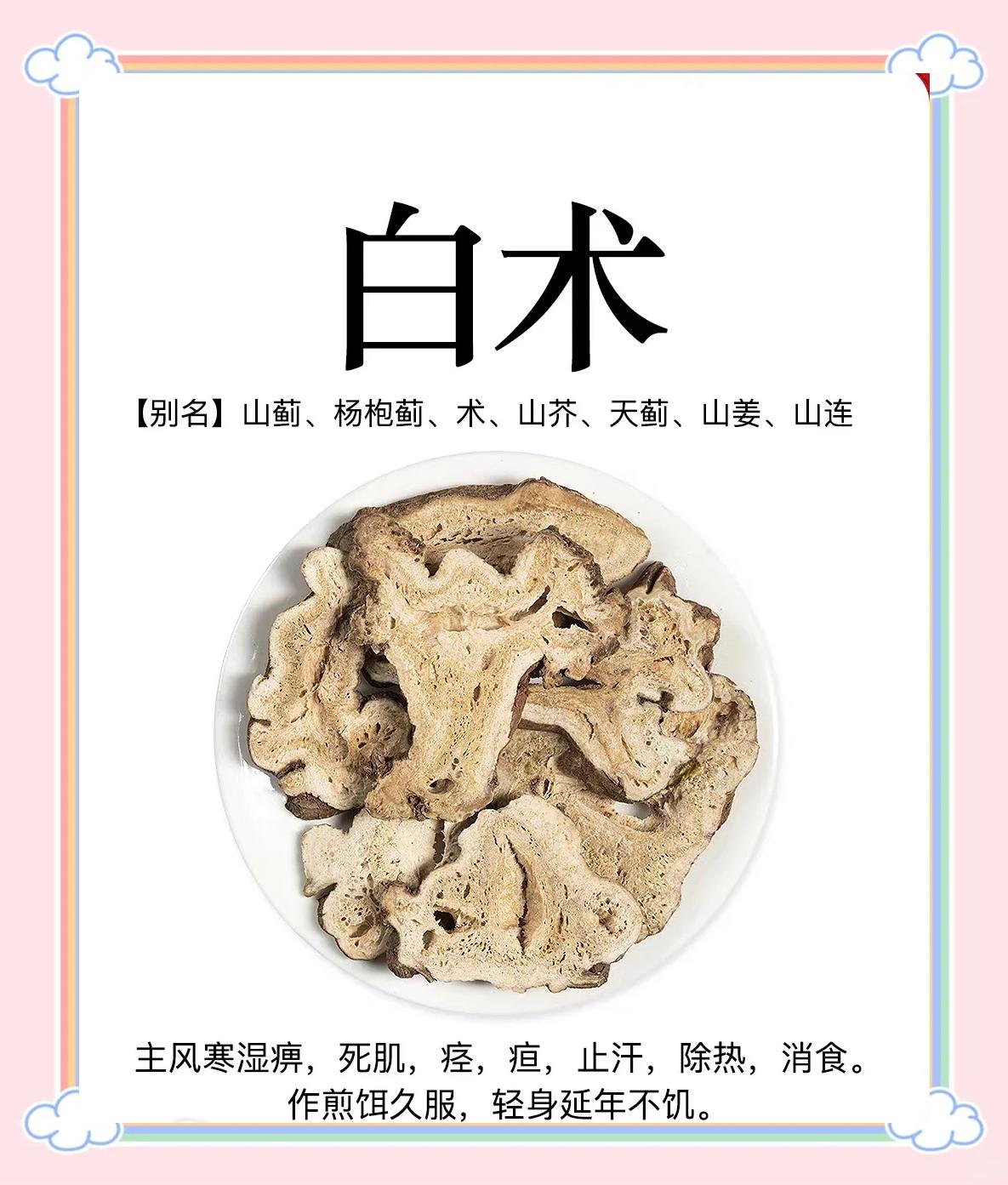 白术的功效与作用禁忌
