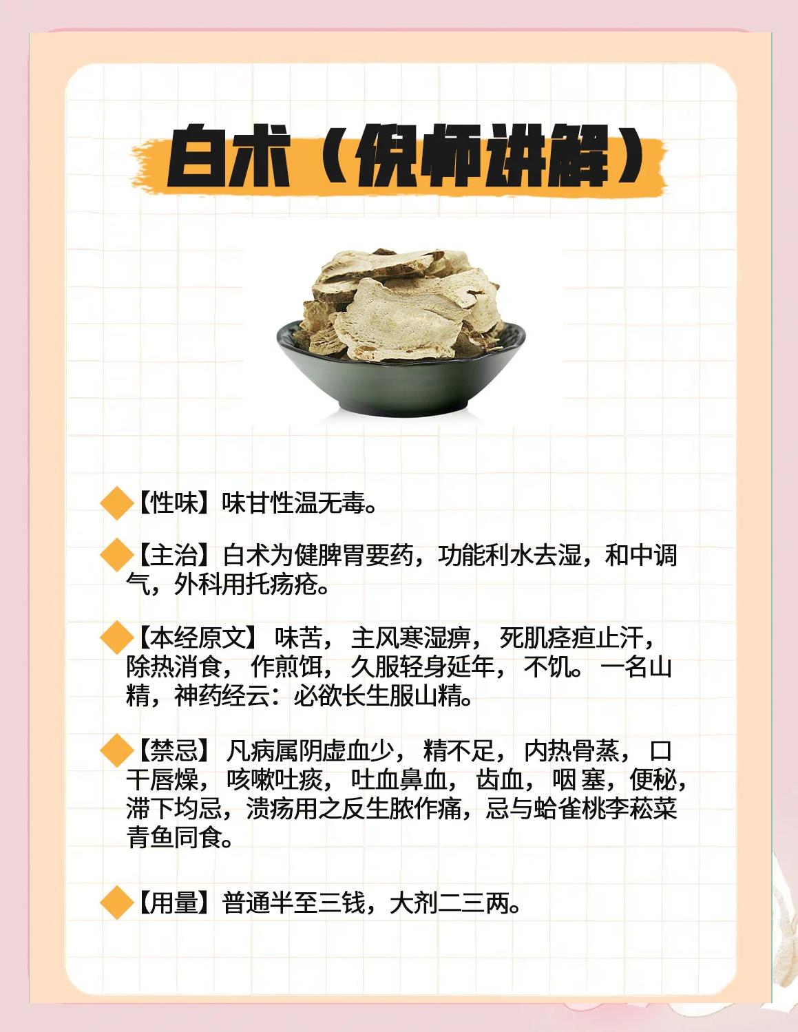 白术的功效与作用禁忌