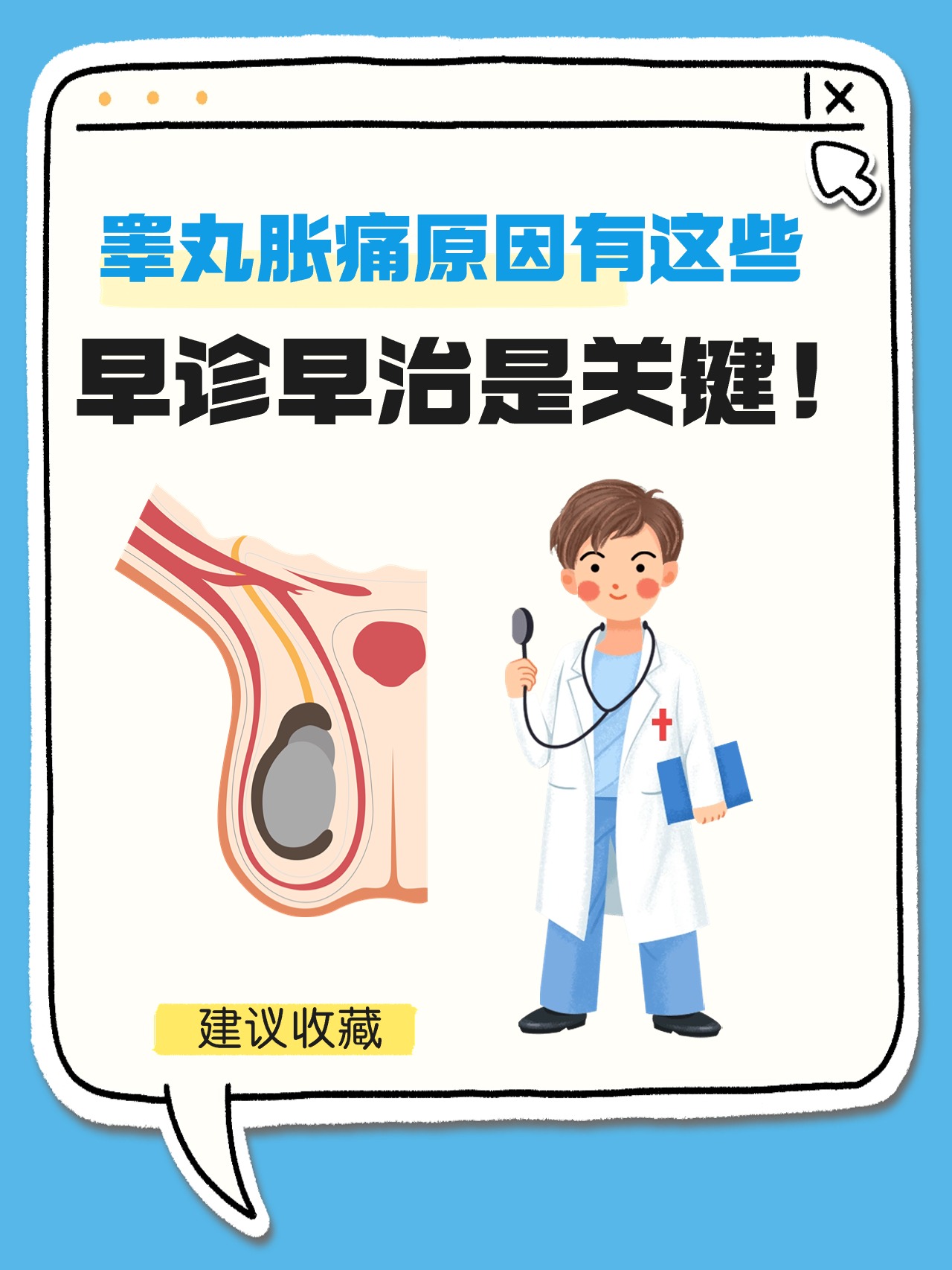 左右睾丸不对称是怎么回事?
