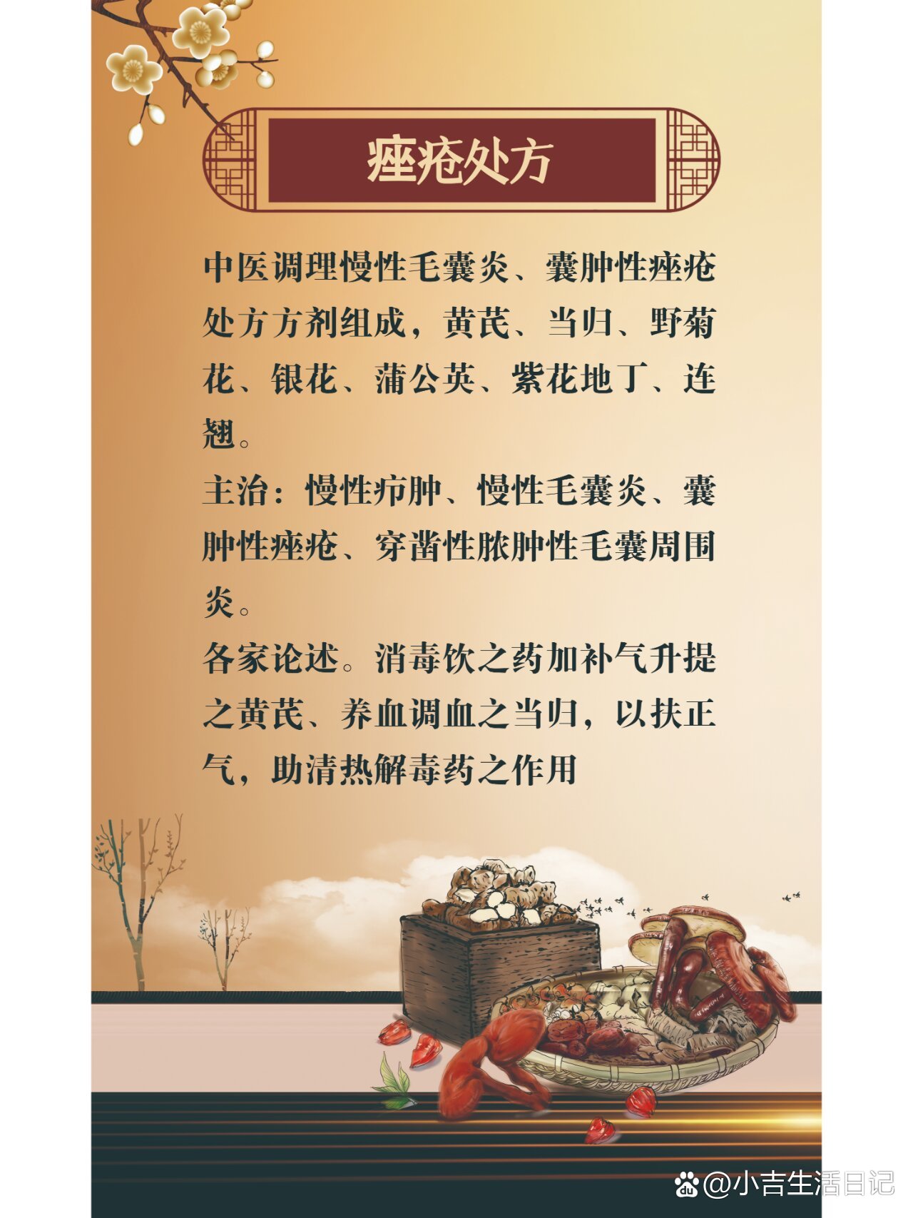 治疗痤疮中药方子有哪些