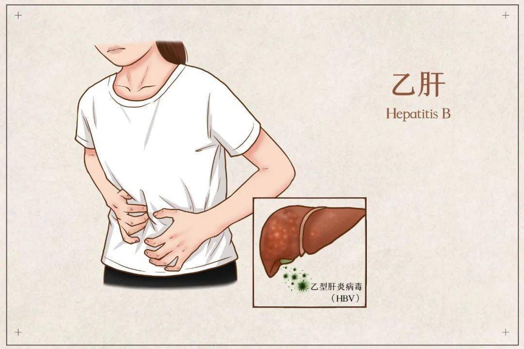乙肝会遗传吗
