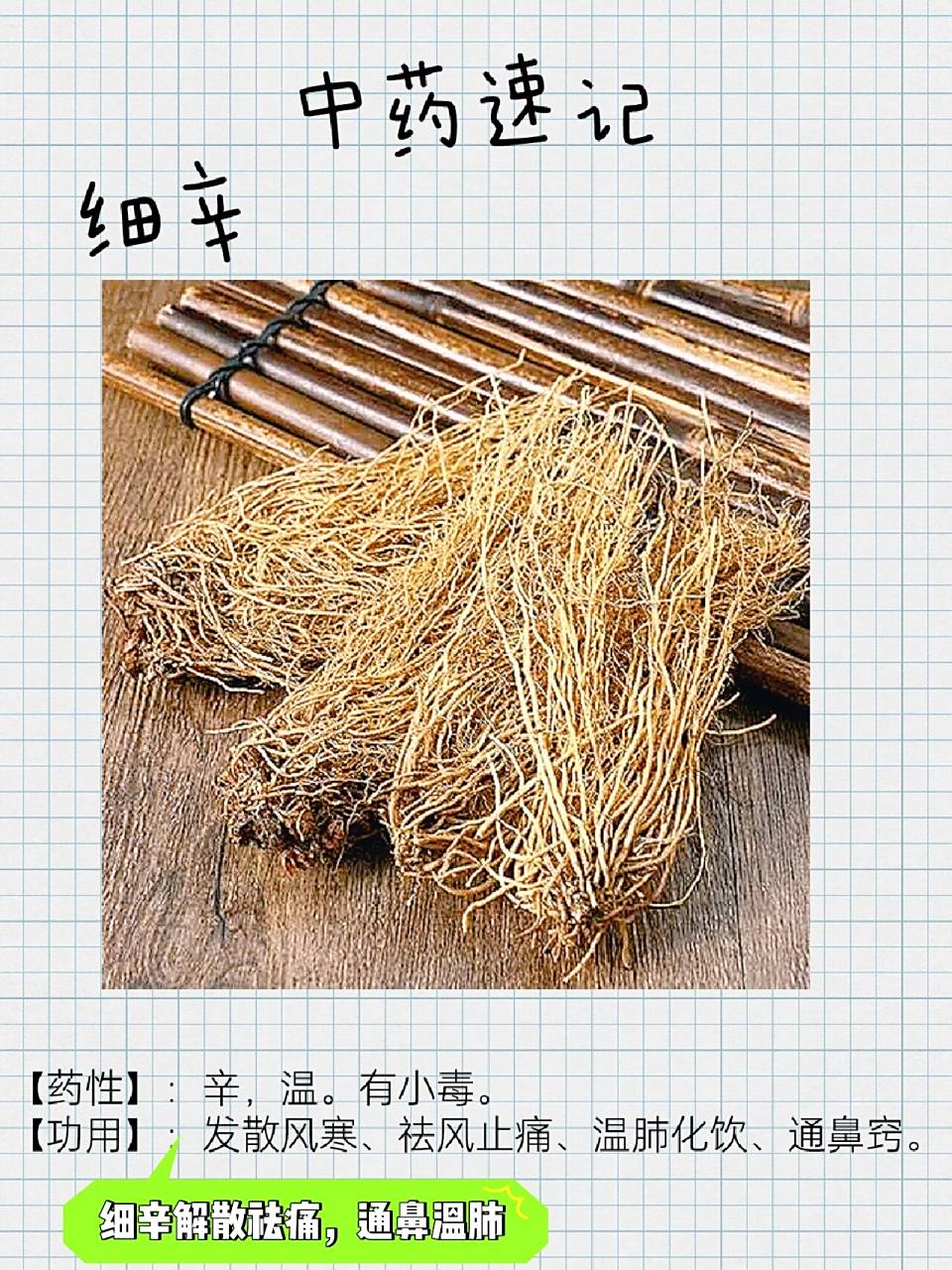 细辛的功效与作用