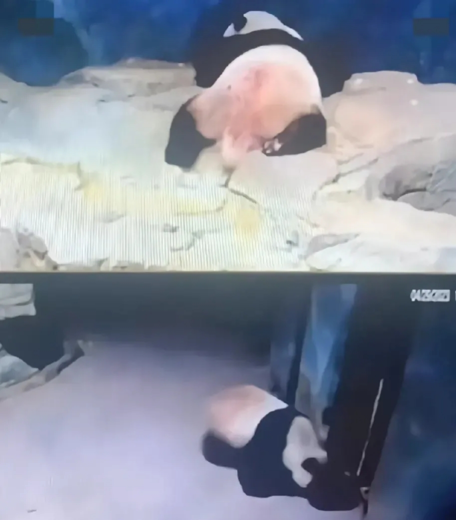 突然间晕倒是怎么回事