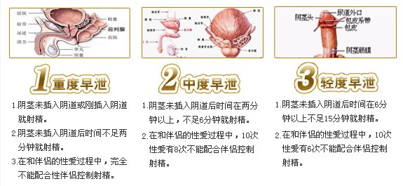 2025年9月 第2034页