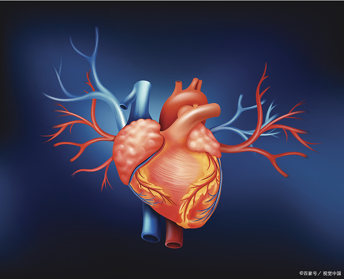 2025年9月 第2033页