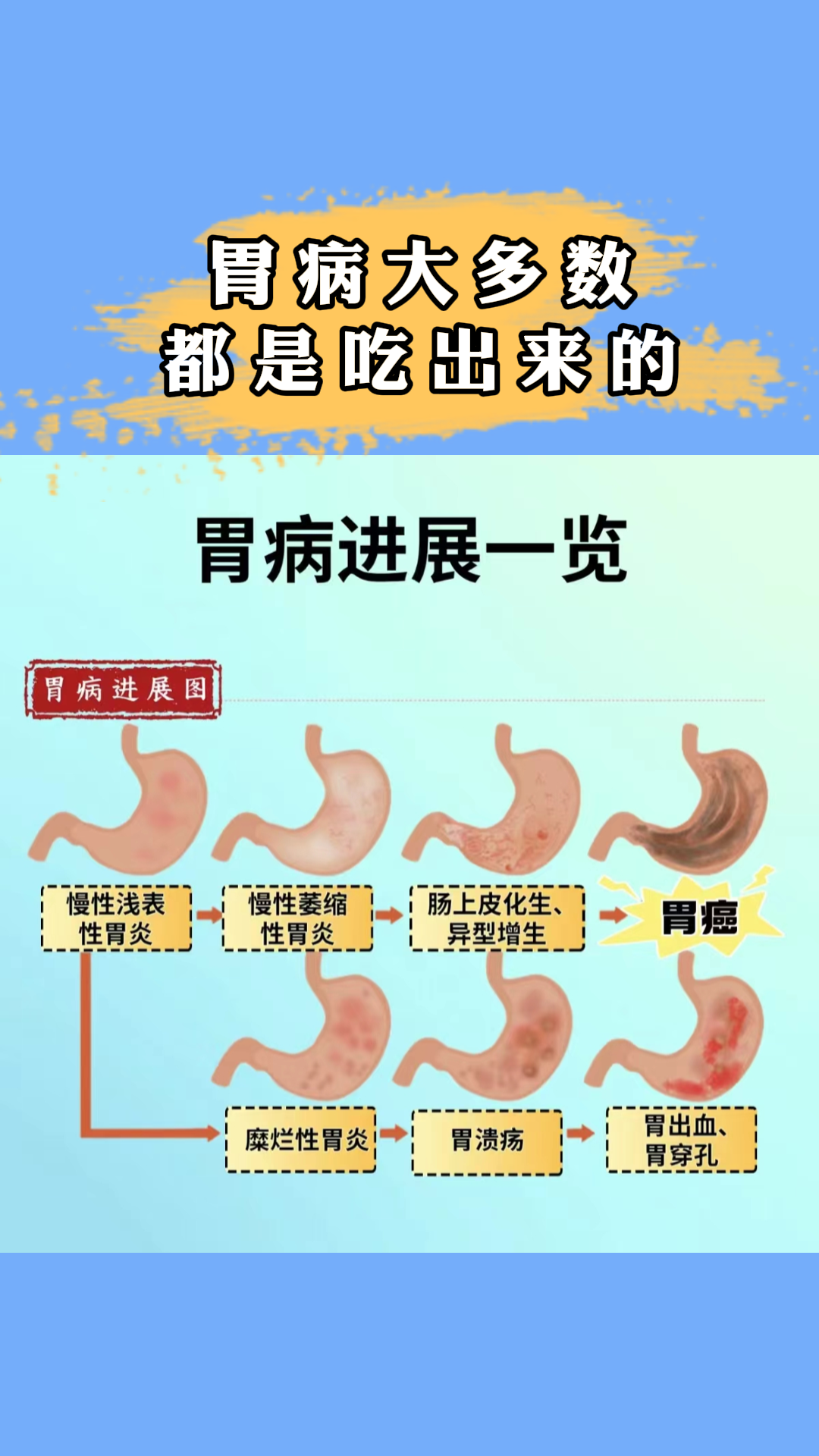 源飞兰 第3页