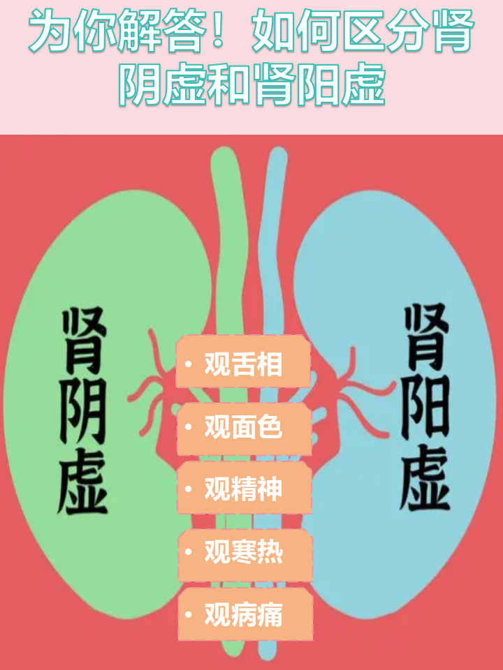 怎样分辨肾阳虚肾阴虚
