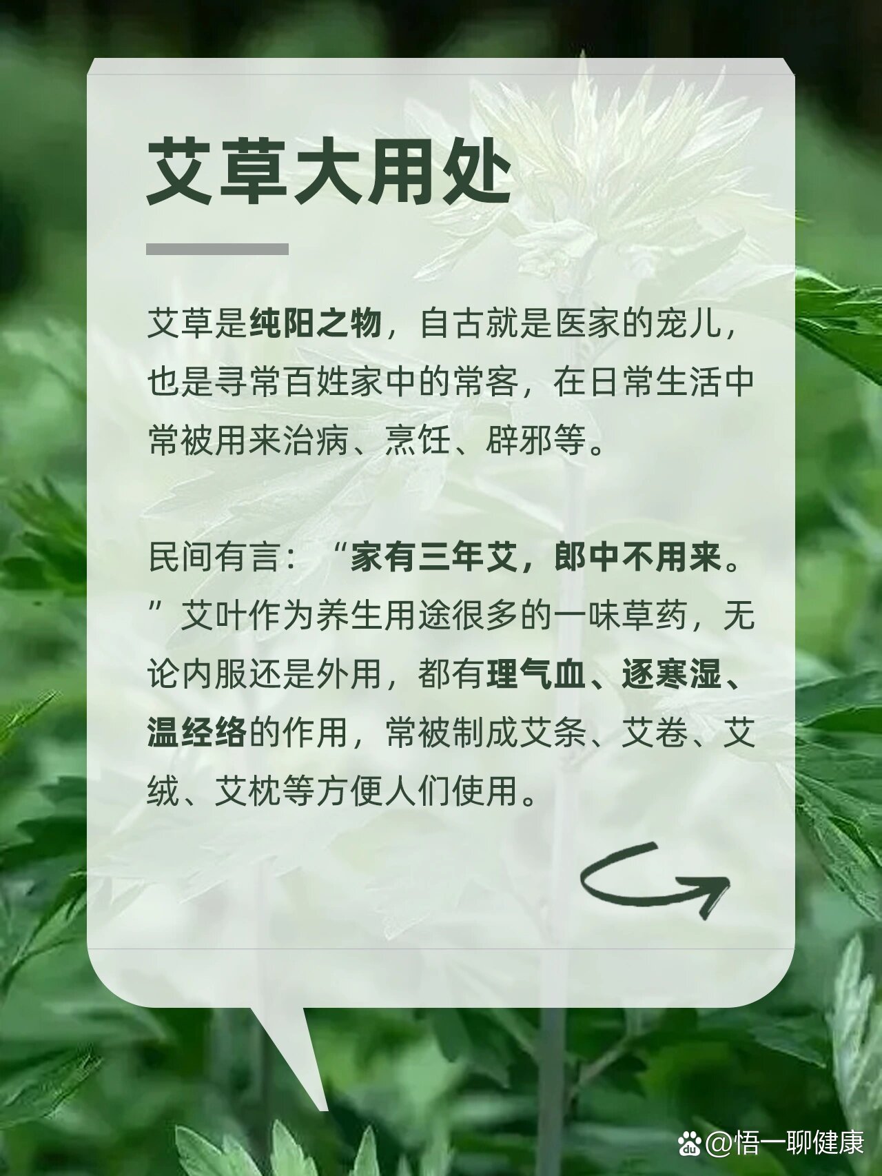 艾叶的作用有那些