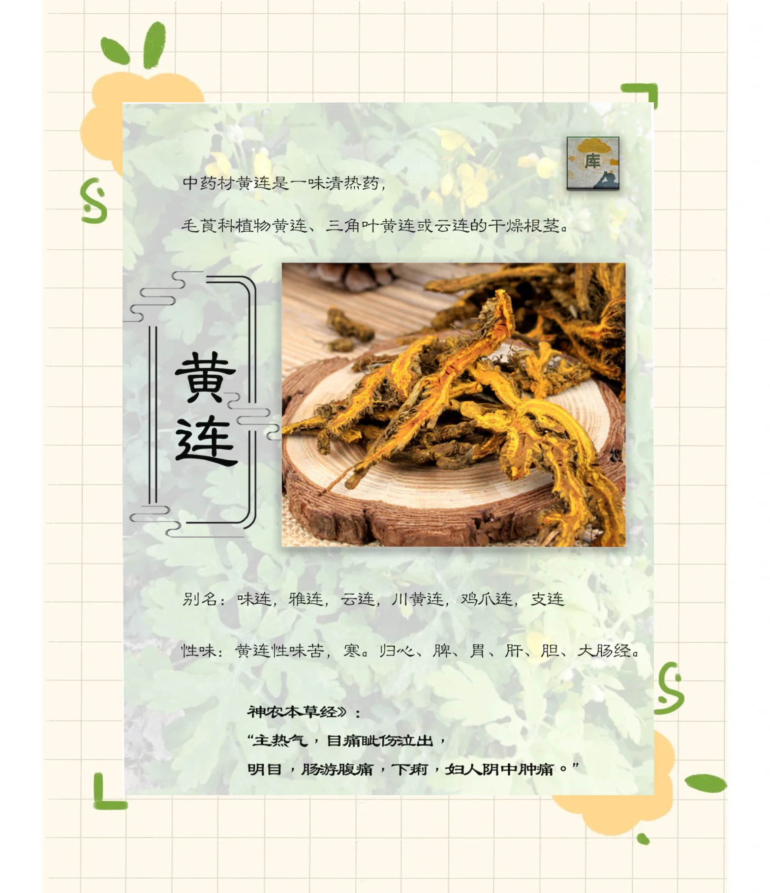 黄连上清片的功效与作用