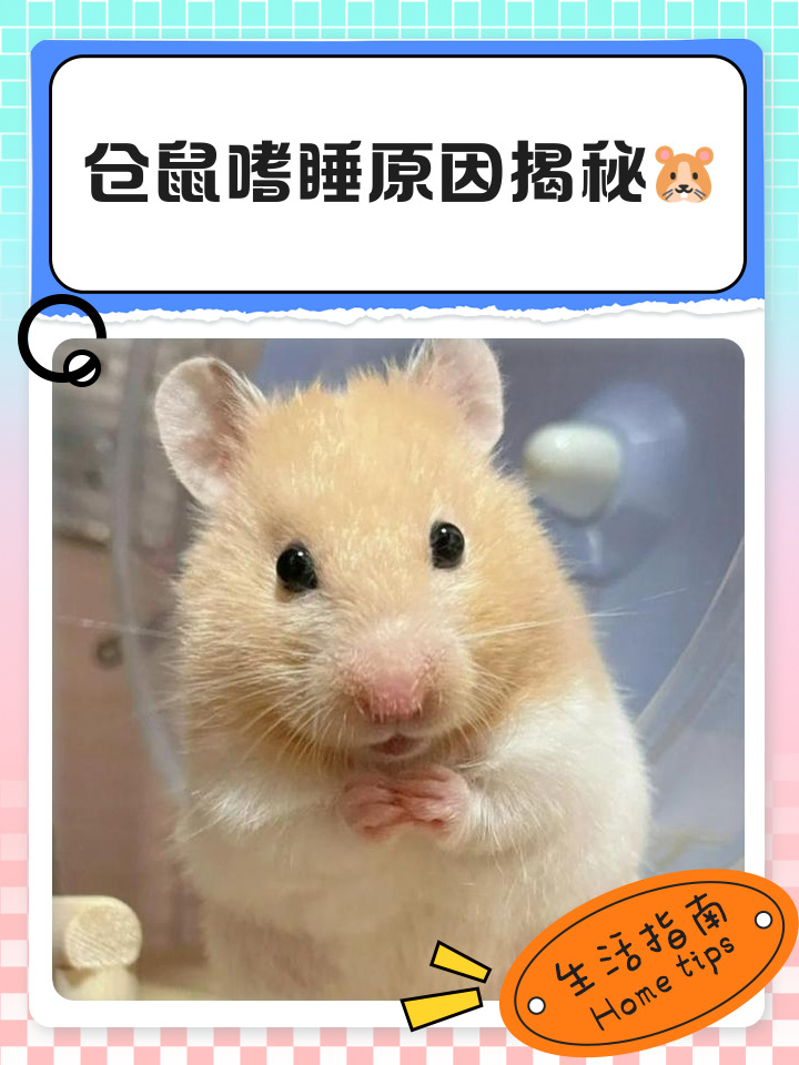 嗜睡怎么回事