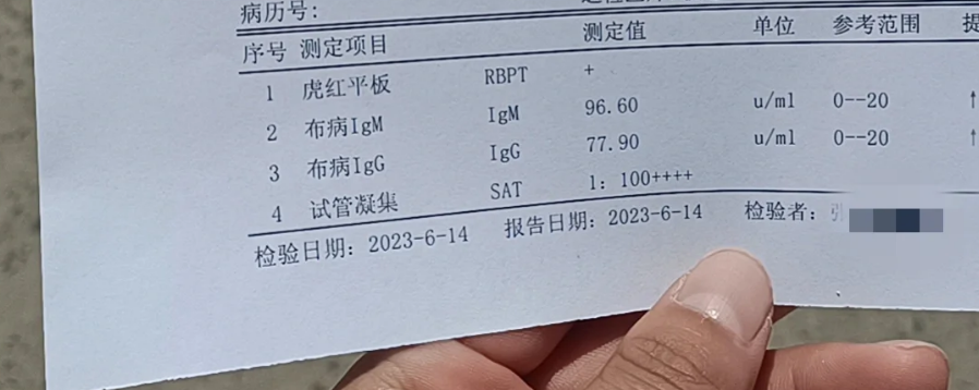 什么是布氏菌病?