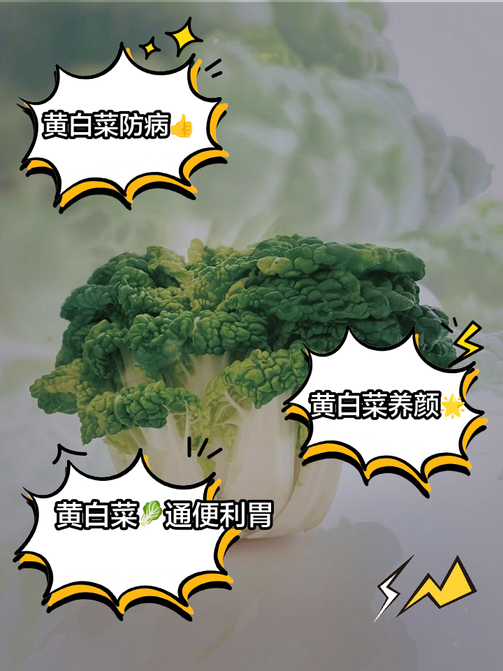 白菜的营养价值及功效