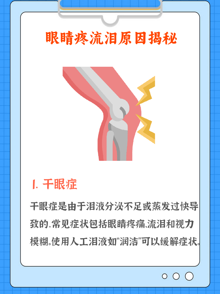 贝刚洁 第3页