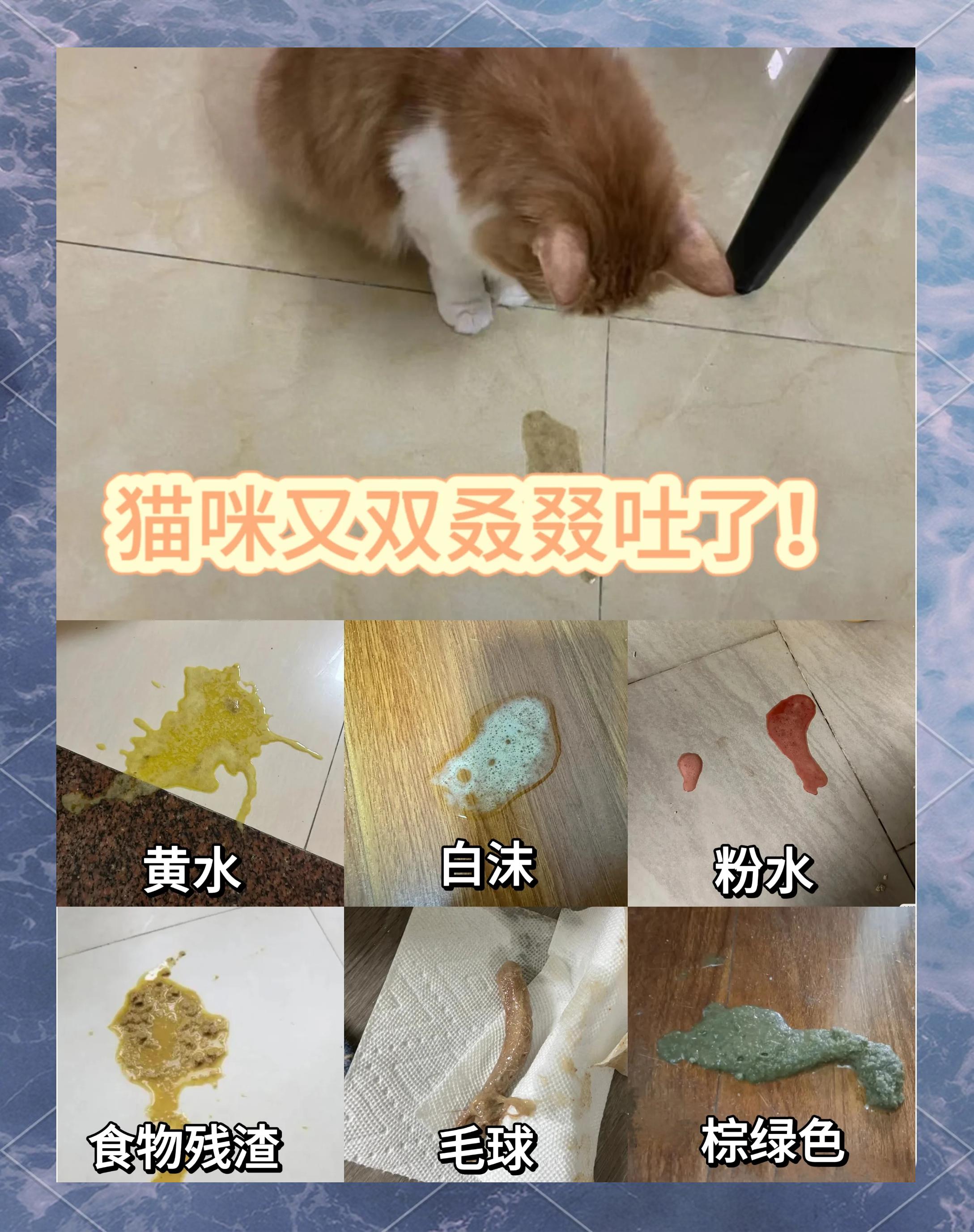 吃完饭就恶心,呕吐,怎么办