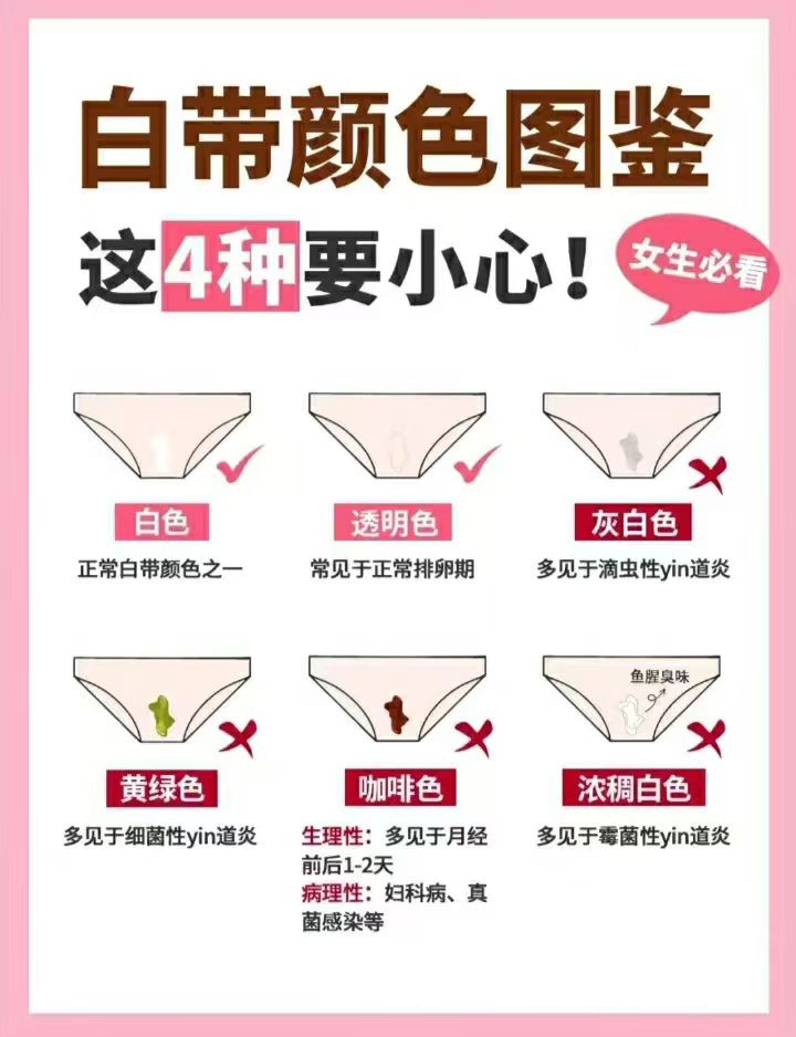 税孤阳 第3页