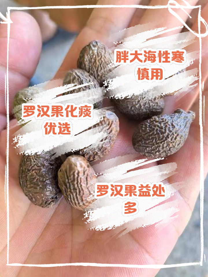 胖大海的功效与作用及禁忌