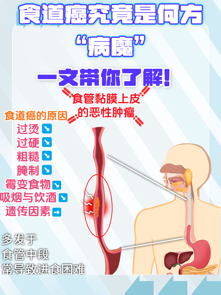 2025年9月19日 第11页