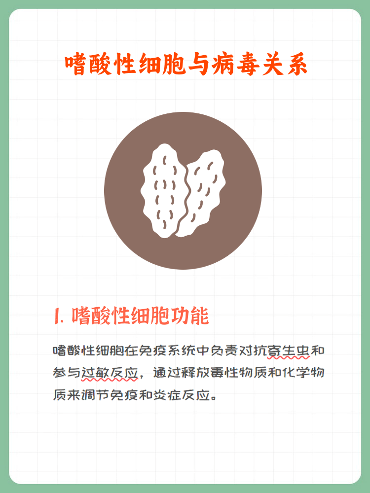 嗜酸性粒细胞比率低是什么原因