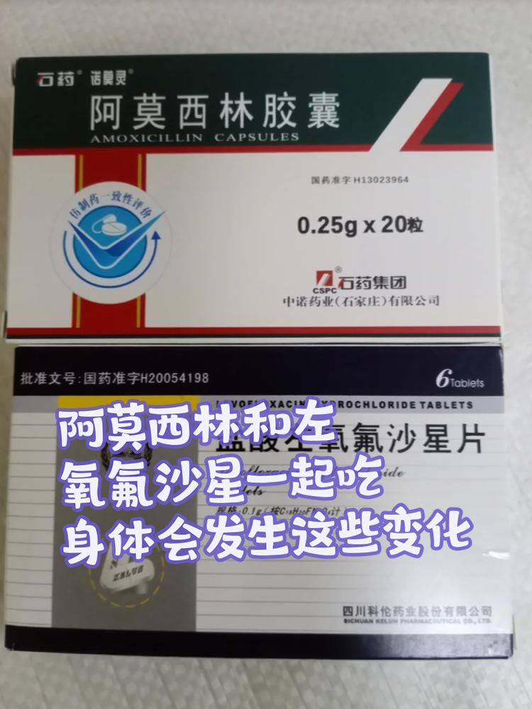 怀孕了可以吃阿莫西林吗