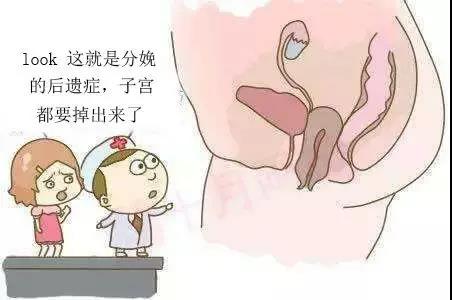 阴道口位置的图片