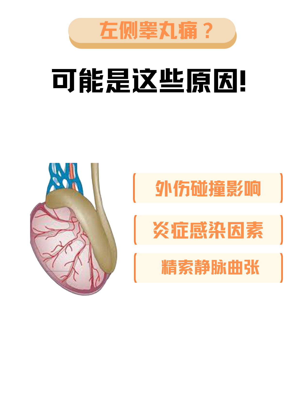 睾丸坏死的症状