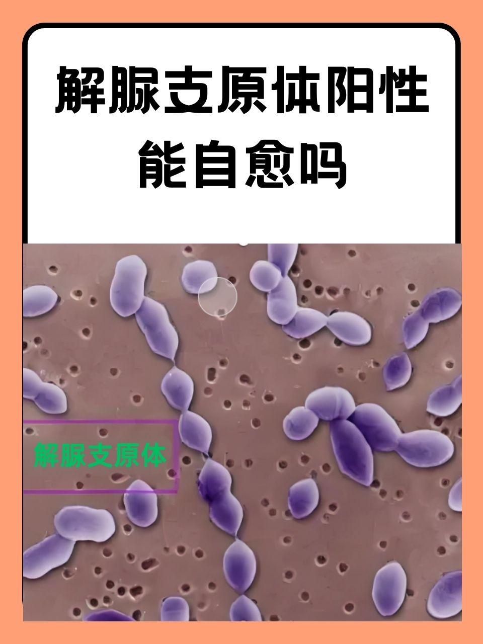 施雅逸 第2页