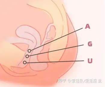 什么是A点和U点