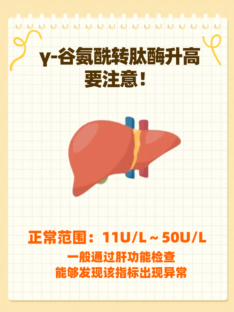 谷氨酰转肽酶高的原因有哪些