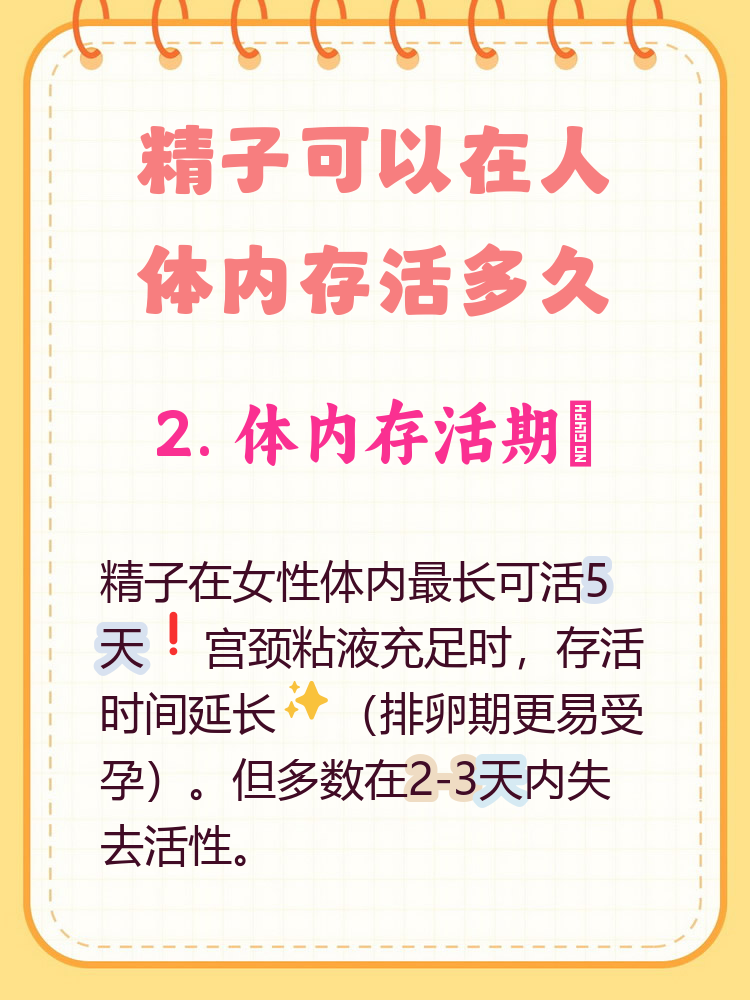 精子和卵子的存活时间有多久?