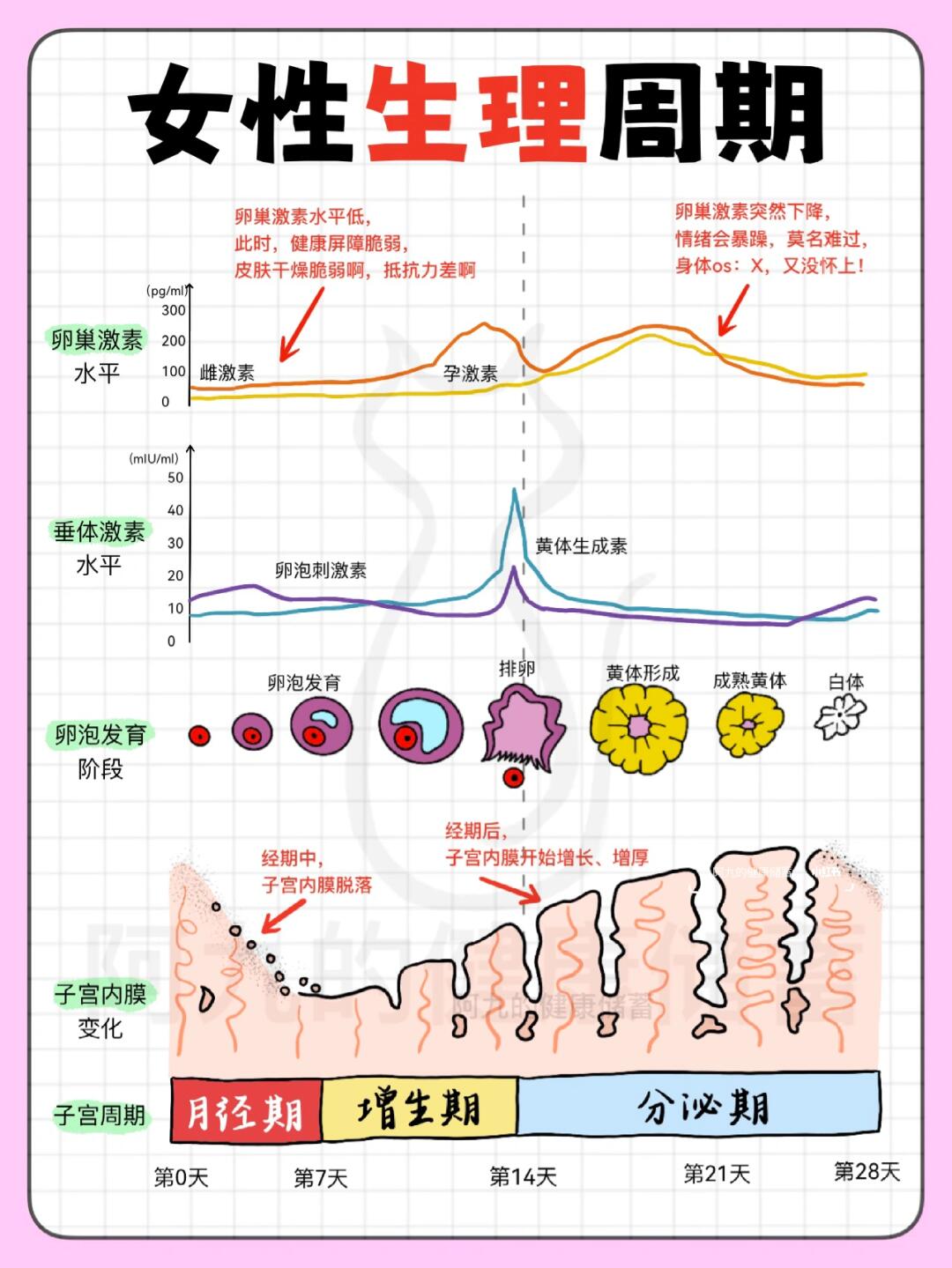 导致女性痛经是什么原因