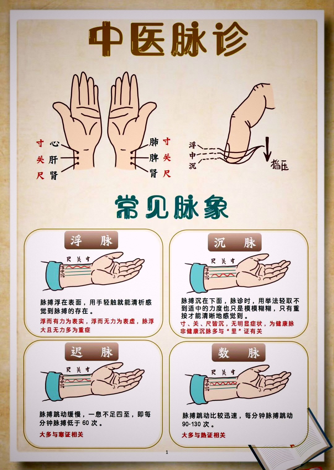 脉搏正常范围是多少