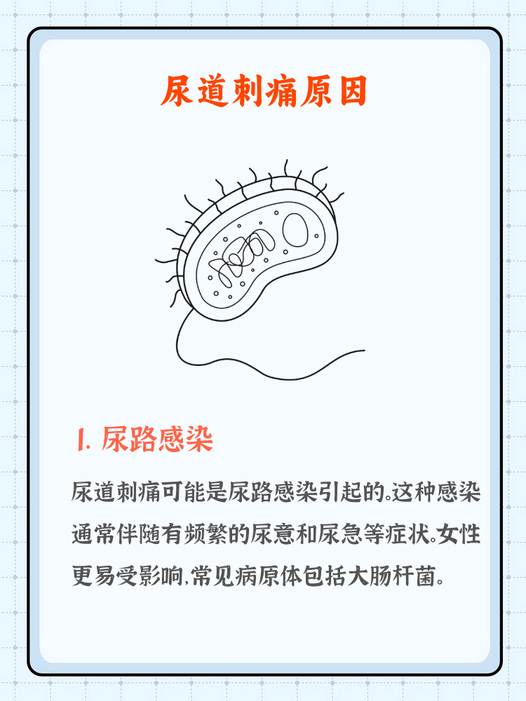 尿膀胱疼是怎么回事?