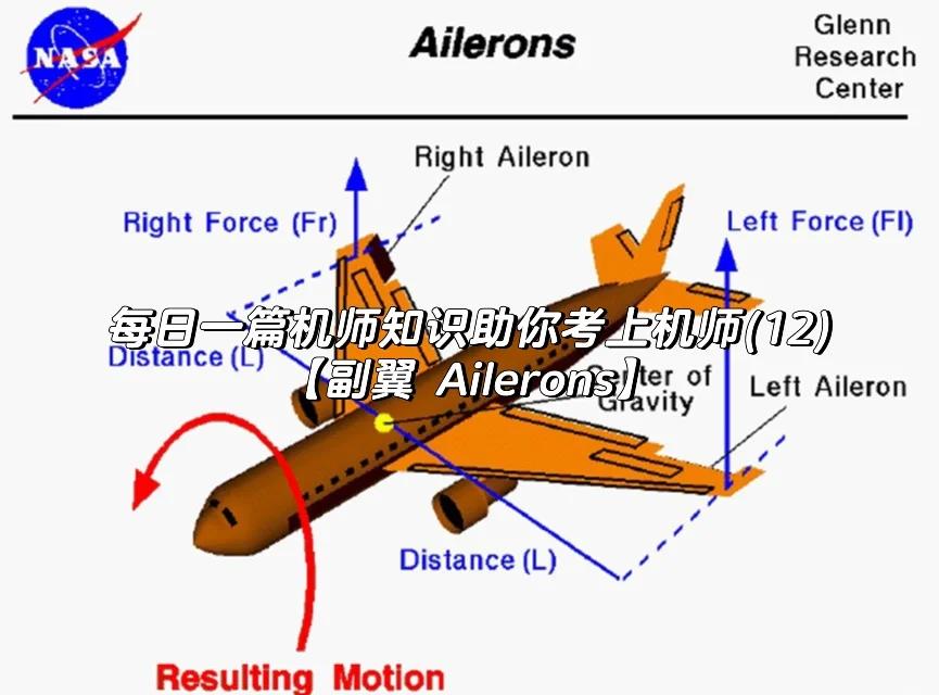翼点的位置、组成和意义
