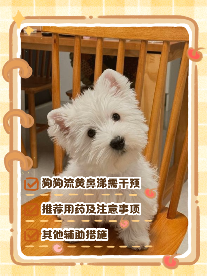 黄鼻涕吃什么药