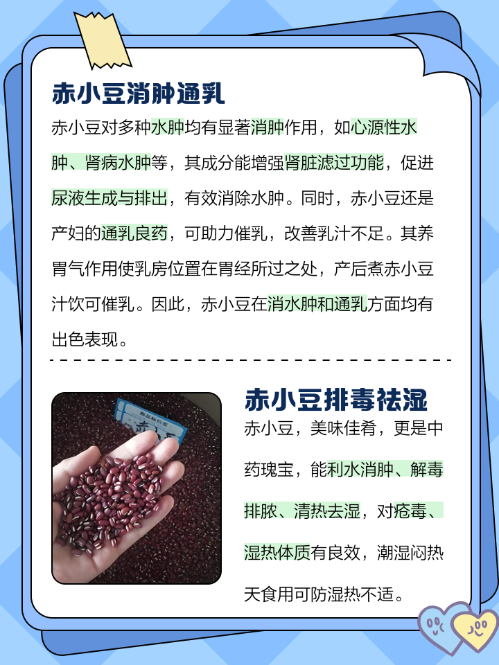 赤小豆的功效与作用