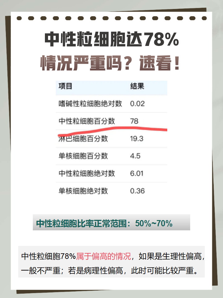 什么是中性粒细胞百分比?